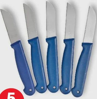 Set malih noževa od nehrđajućeg čelika s plastičnom drškom duljine cca. 16 cm pakiranje