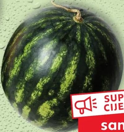 Domaća lubenica mini