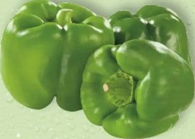 Paprika zelena 1 kg