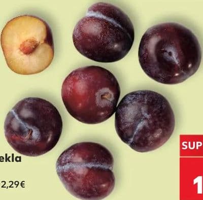 Bio Šljiva